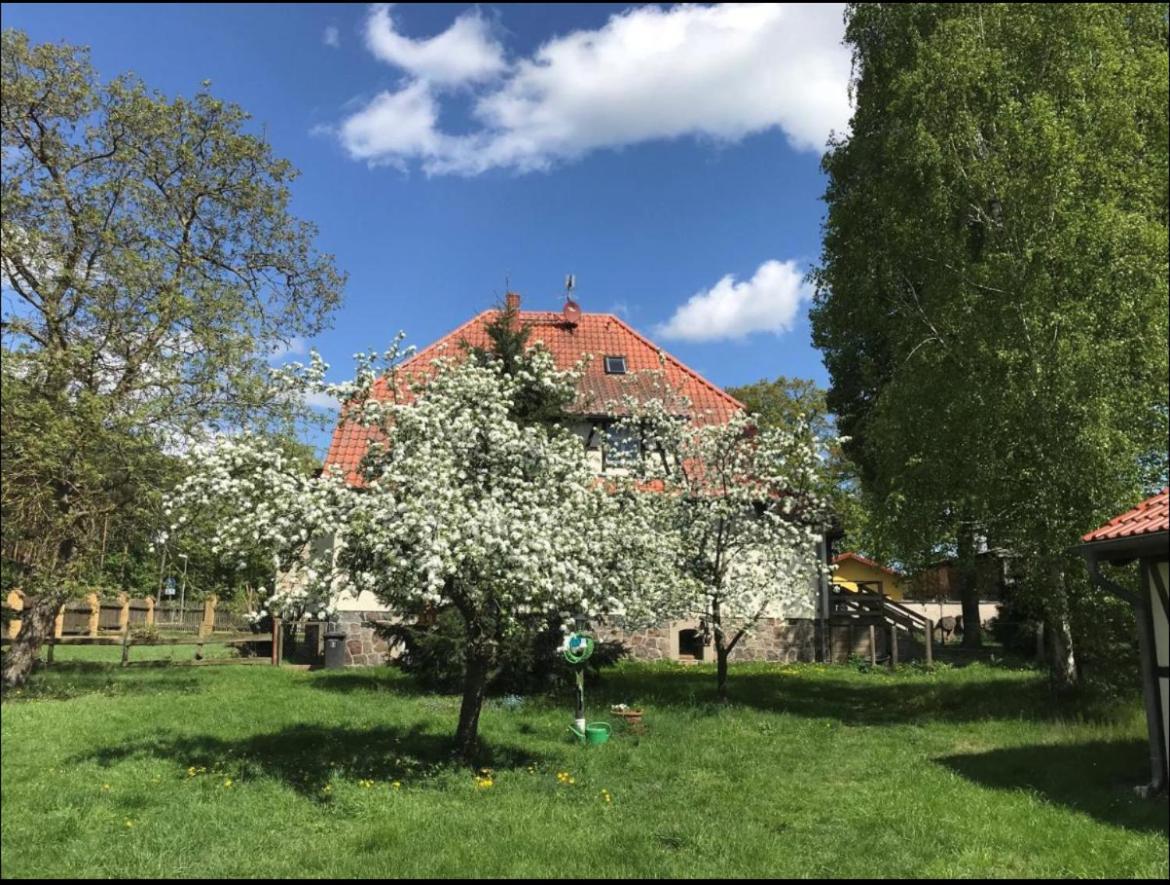 Apartamento Hof Lillge Schorfheide Exterior foto
